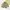 Vintage Windbreaker Pria gold yellow photo 1