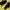 Dr. Martens Grunge Boots Wanita black photo 2