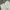 Tommy Hilfiger Casual Casual pants Pria white photo 3