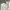 Tommy Hilfiger Casual Casual pants Pria white photo 4