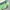 Vintage Windbreaker Pria white green photo 7