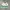 Vintage Windbreaker Pria white green photo 4
