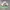 Vintage Windbreaker Pria white green photo 2