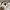 WHO.A.U Luxury Formal shirt Pria white photo 5