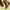 Maison Margiela Luxury Boots Wanita brown photo 1