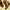 Maison Margiela Luxury Boots Wanita Brown