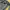 Vivienne Westwood Y2K Parka Wanita gray photo 3