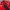 Vintage Track jacket Pria red black photo 6