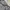 Nike Streetwear Casual Sweatshirt Pria gray photo 3