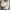 Casual Cardigan Wanita white photo 1