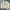 Fila Luxury Sportswear Sweatshirt Pria tan photo 1