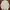 ZARA Streetwear Luxury Denim jacket Pria cream photo 2