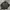 ZARA Luxury Leather jacket Pria black photo 1