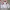 Yonex Casual Casual shirt Pria white pink photo 1