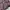 Gorpcore Sportswear Track jacket Pria brown blue photo 5