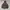 Gorpcore Sportswear Track jacket Pria brown blue photo 4
