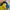 Adidas Vintage Jersey Pria yellow photo 2