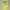 Adidas Vintage Jersey Pria yellow photo 1