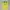 Adidas Vintage Jersey Pria Yellow