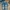 Adidas Casual Sneakers Pria blue photo 3