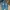 Adidas Casual Sneakers Pria blue photo 4