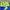 Vintage Windbreaker Pria green blue photo 3