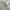 Levi's Vintage Y2K Harrington jacket Pria gray photo 5