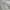 Levi's Vintage Y2K Harrington jacket Pria gray photo 6