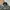 Japanese brand Y2K Casual Bomber jacket Pria green photo 4