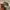 Vintage Streetwear Hat Pria black photo 3