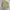 ZARA Vintage Streetwear Trench coat Pria khaki photo 2