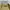 ZARA Vintage Streetwear Trench coat Pria khaki photo 6