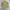 ZARA Vintage Streetwear Trench coat Pria khaki photo 3