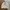 Japanese brand Vintage Casual Harrington jacket Pria cream photo 1