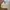 McGregor Vintage Casual Harrington jacket Pria tan cream photo 1