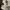 Adidas Sportswear Jersey Pria white photo 2