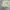Polo Ralph Lauren Vintage Y2K Track jacket Pria khaki photo 5
