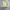 Polo Ralph Lauren Vintage Y2K Track jacket Pria khaki photo 1