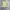 Polo Ralph Lauren Vintage Y2K Track jacket Pria khaki photo 2
