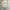 Dickies Vintage Streetwear Formal shirt Pria khaki photo 3