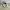 Lacoste Vintage Streetwear Track jacket Pria khaki photo 3