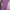 Vintage Casual dress Wanita pink photo 2