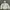 Carhartt Streetwear Track jacket Kids tan photo 1