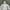 Carhartt Streetwear Track jacket Kids tan photo 2