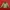The North Face Streetwear Sportswear Hoody Pria green tan photo 1