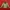 The North Face Streetwear Sportswear Hoody Pria Green Tan