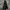 The North Face Casual Hoody Pria black photo 2