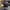 Vintage Hat Pria purple yellow photo 2