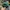 Disney Casual Hat Pria green photo 3