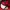 Casual Hat Pria red photo 7
